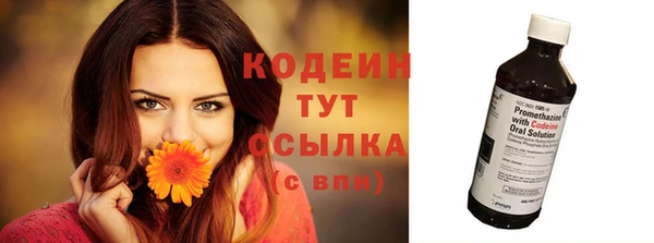 эйфоретик Арсеньев