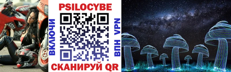 Купить  Бутурлиновка  Псилоцибиновые грибы Magic Shrooms 